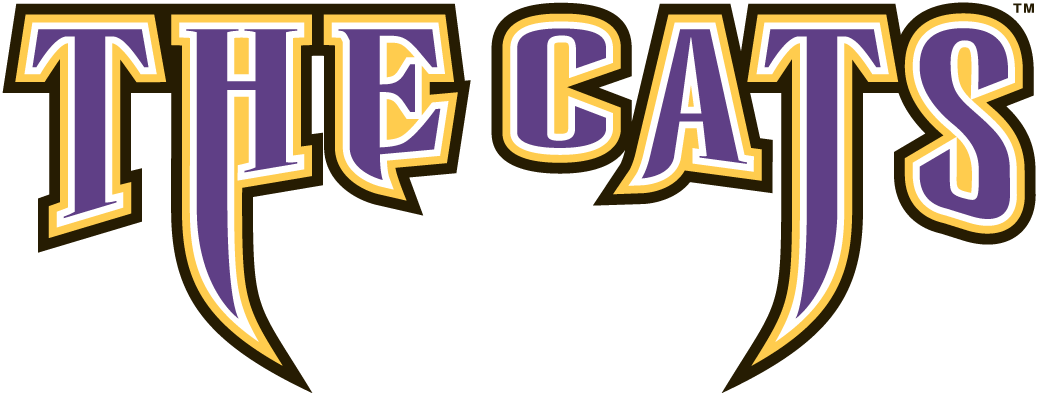 Western Carolina Catamounts 1996-2007 Wordmark Logo v4 diy DTF decal sticker